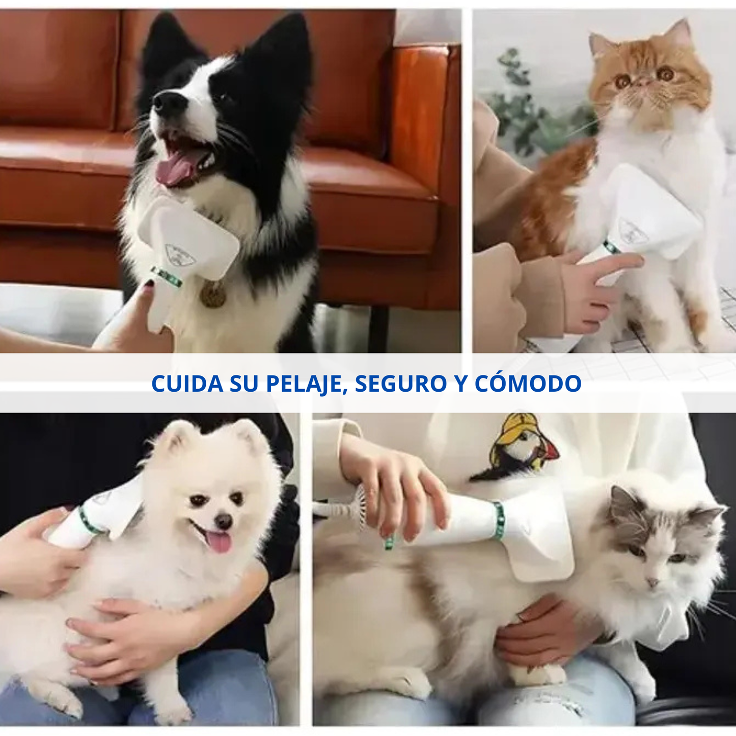 Cepillo Y Secador De Mascotas 2 En 1
