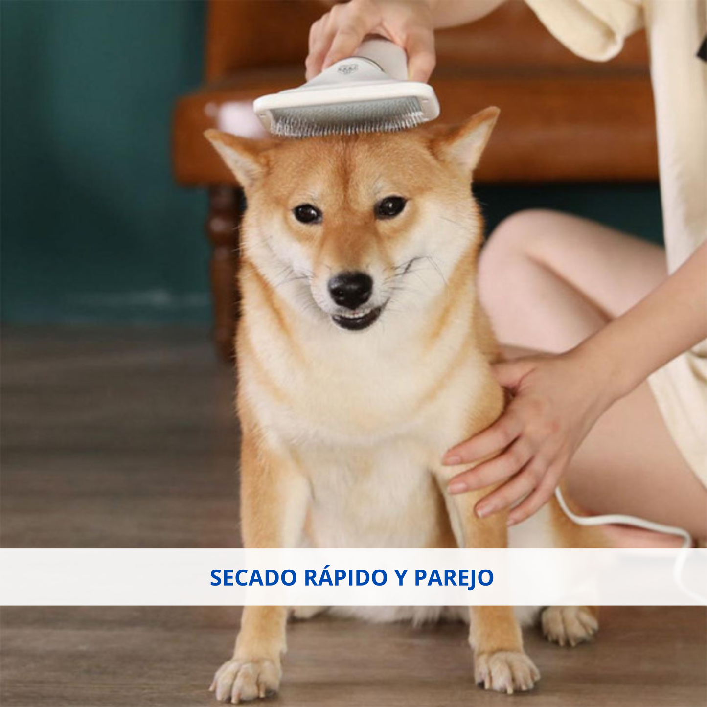 Cepillo Y Secador De Mascotas 2 En 1